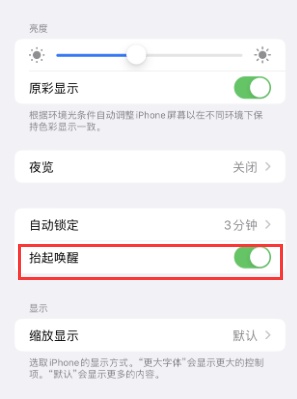 乐陵苹果授权维修站分享iPhone轻点无法唤醒怎么办