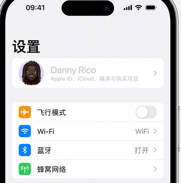 乐陵appleID维修服务iPhone设置中Apple ID显示为灰色无法使用 