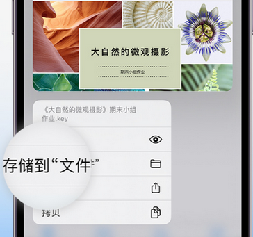 乐陵apple维修中心分享iPhone文件应用中存储和找到下载文件