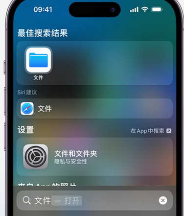 乐陵apple维修中心分享iPhone文件应用中存储和找到下载文件 