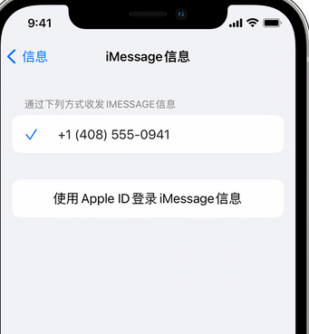 乐陵apple维修iPhone上无法正常发送iMessage信息 