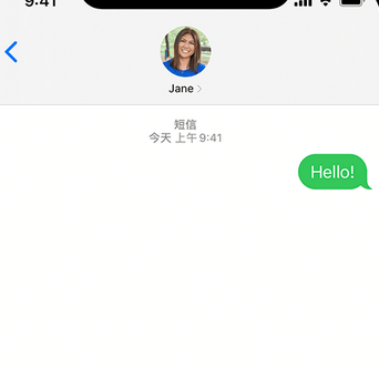 乐陵apple维修iPhone上无法正常发送iMessage信息