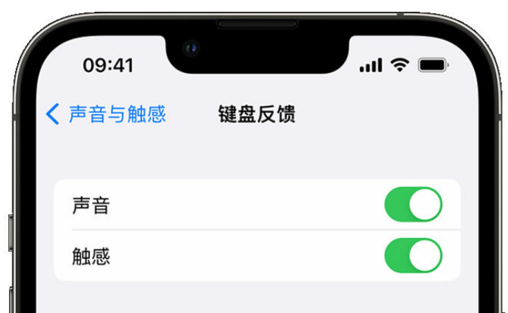 乐陵苹果手机维修分享iPhone 14触感键盘使用方法 