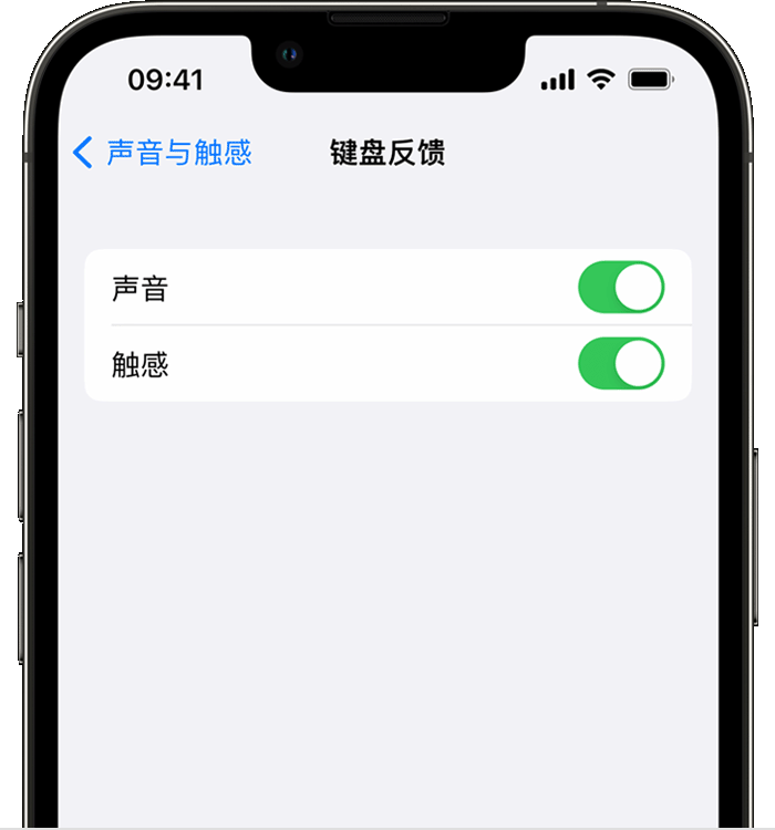 乐陵苹果14维修店分享如何在 iPhone 14 机型中使用触感键盘 