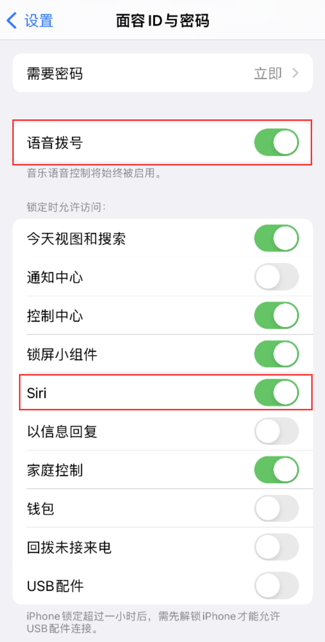 乐陵苹果维修网点分享不解锁 iPhone 的情况下通过 Siri 拨打电话的方法 