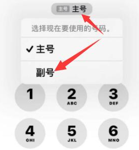 乐陵苹果14维修店分享iPhone 14 Pro Max使用副卡打电话的方法 