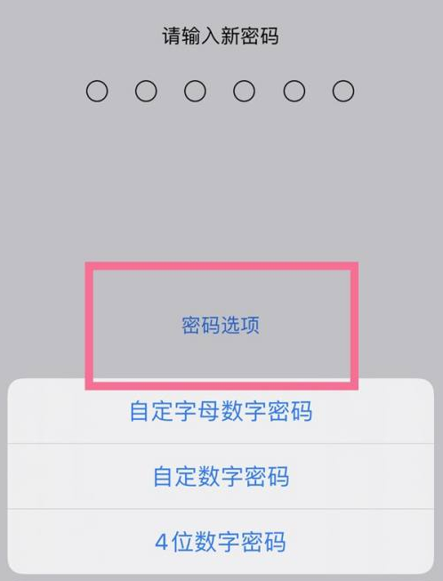 乐陵苹果14维修分享iPhone 14plus设置密码的方法 