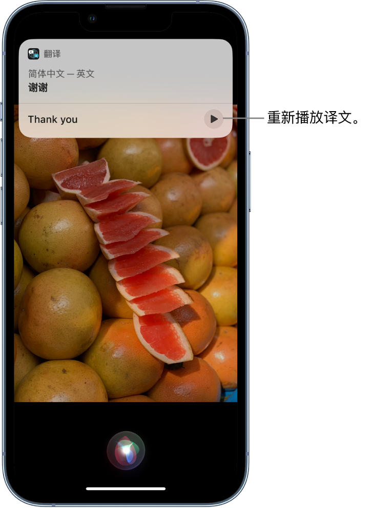 乐陵苹果14维修分享 iPhone 14 机型中使用 Siri：了解 Siri 能帮你做什么 