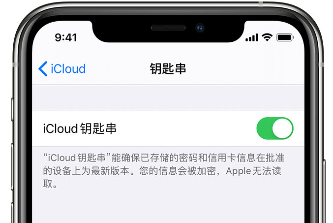 乐陵苹果手机维修分享在 iPhone 上开启 iCloud 钥匙串之后会储存哪些信息 