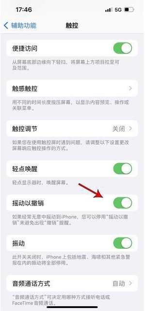 乐陵苹果手机维修分享iPhone手机如何设置摇一摇删除文字 